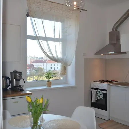 Wanner Studio/Old Town/Center Apartment